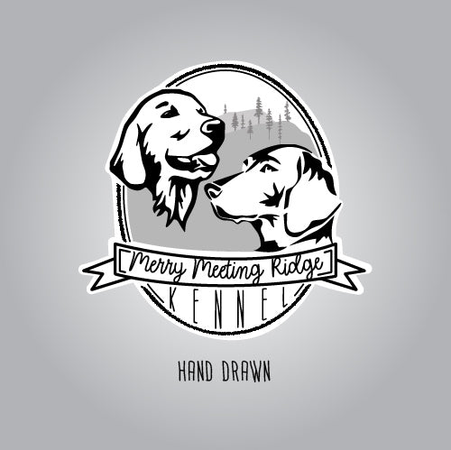 Logo Design image 8